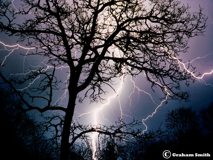 Tree_Lightning